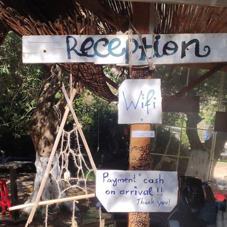 Gjipe Eco Campground Vuno Εξωτερικό φωτογραφία