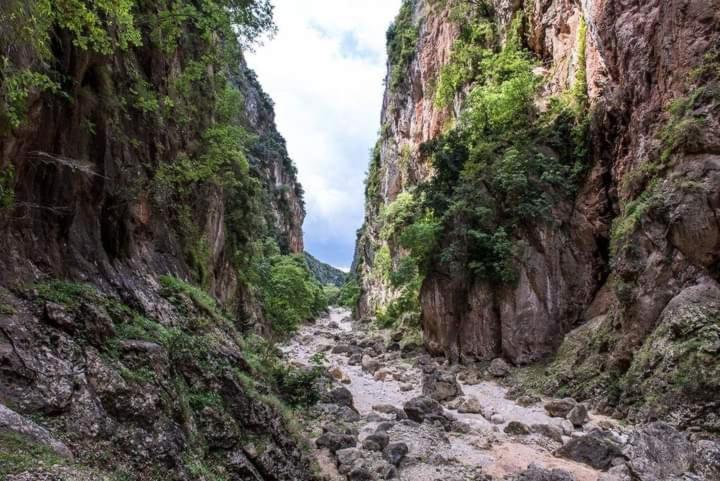 Gjipe Eco Campground Vuno Εξωτερικό φωτογραφία