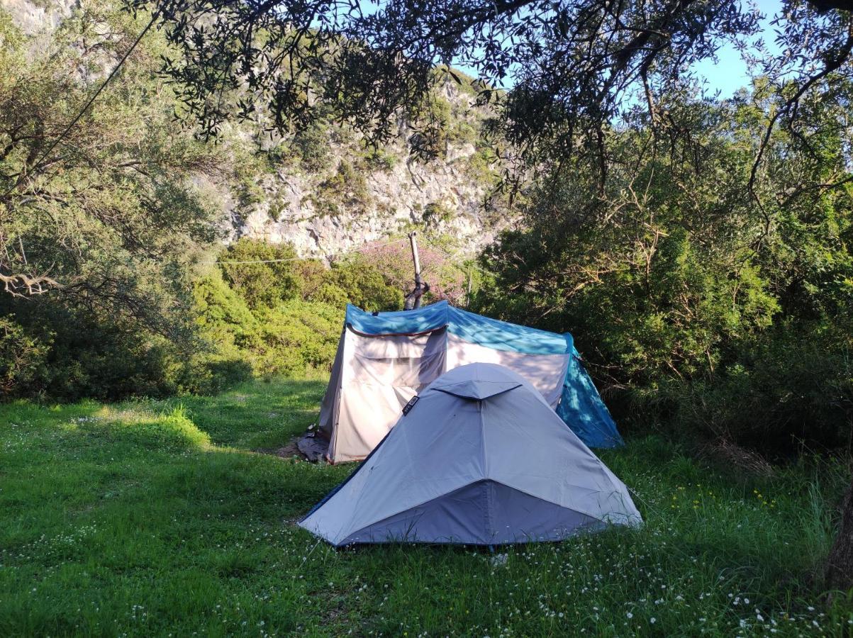 Gjipe Eco Campground Vuno Εξωτερικό φωτογραφία