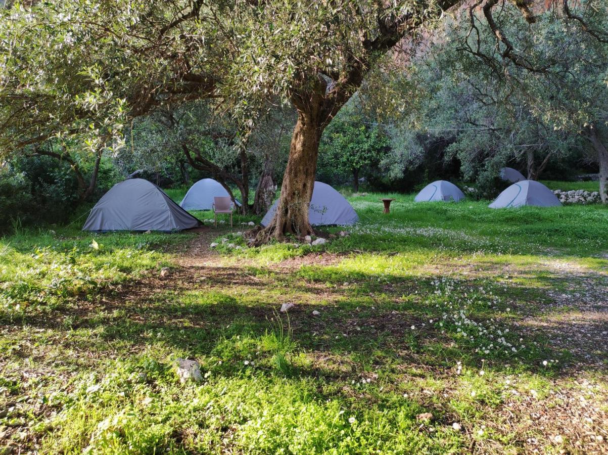 Gjipe Eco Campground Vuno Εξωτερικό φωτογραφία