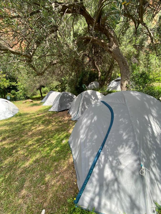 Gjipe Eco Campground Vuno Εξωτερικό φωτογραφία